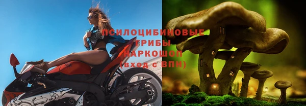 марихуана Пролетарск